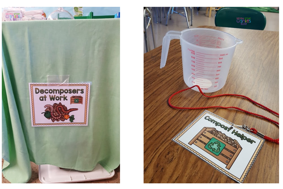 Worm Composting In The Classroom