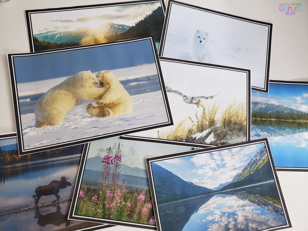 calming photos of Alaska for classroom calm space